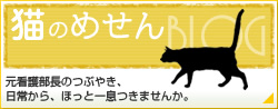猫のめせん