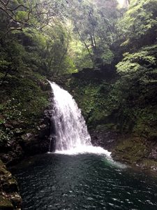 image_赤目2