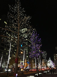 IMG_4268_s