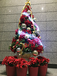 IMG_4286_s